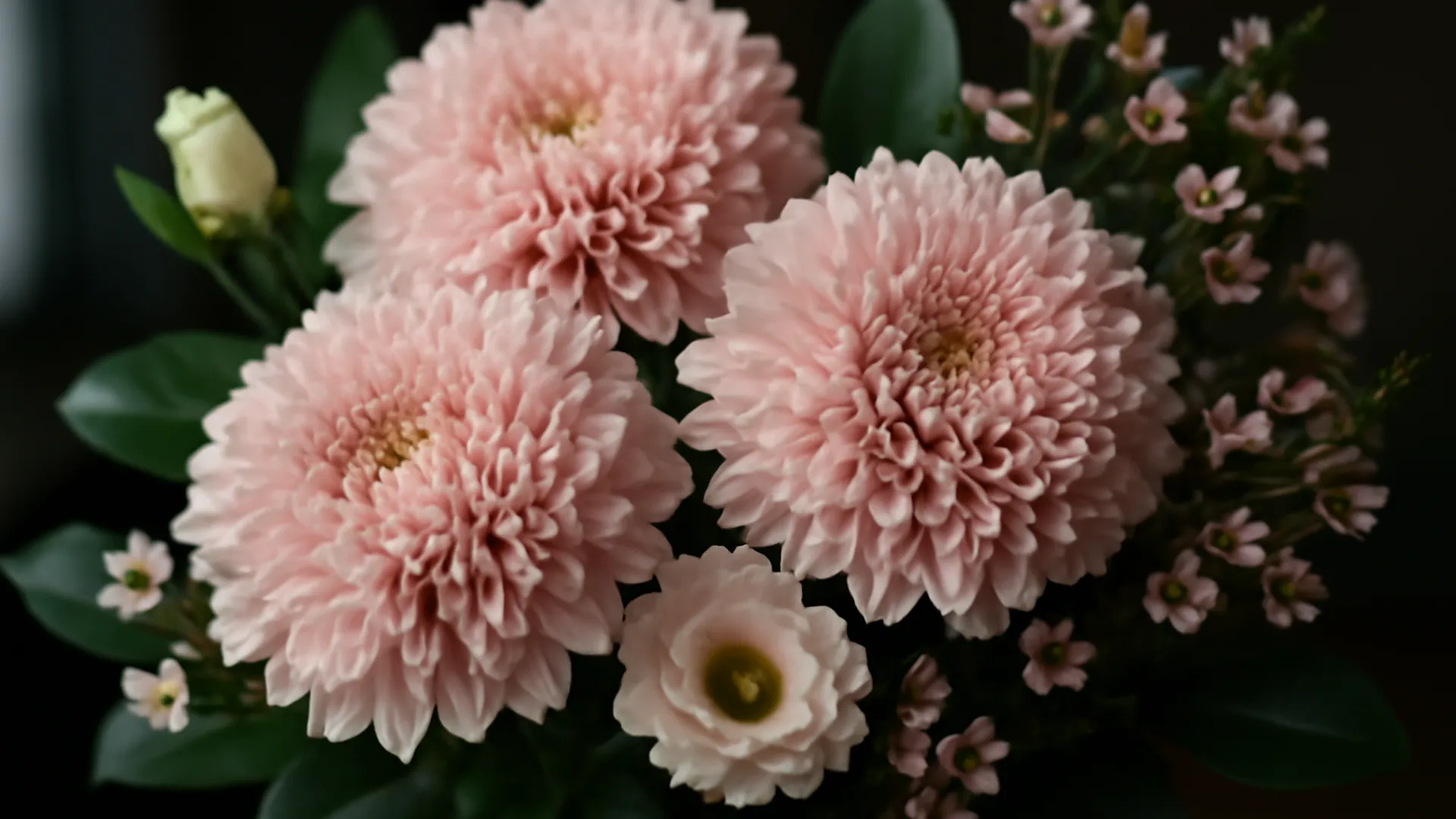 Snijbloemen die lang mooi blijven in de vaas
