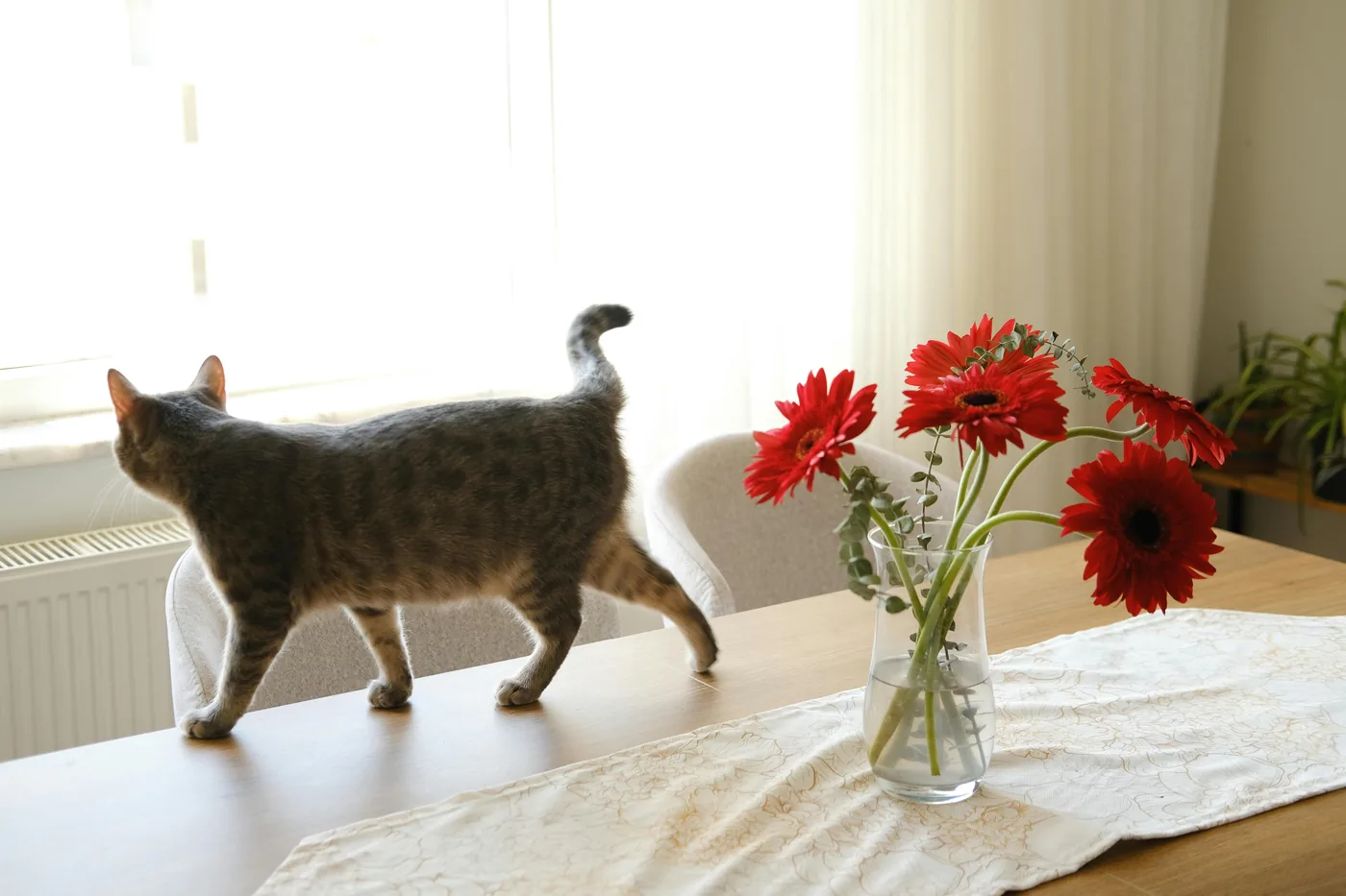 Giftige bloemen voor honden en katten - complete gids