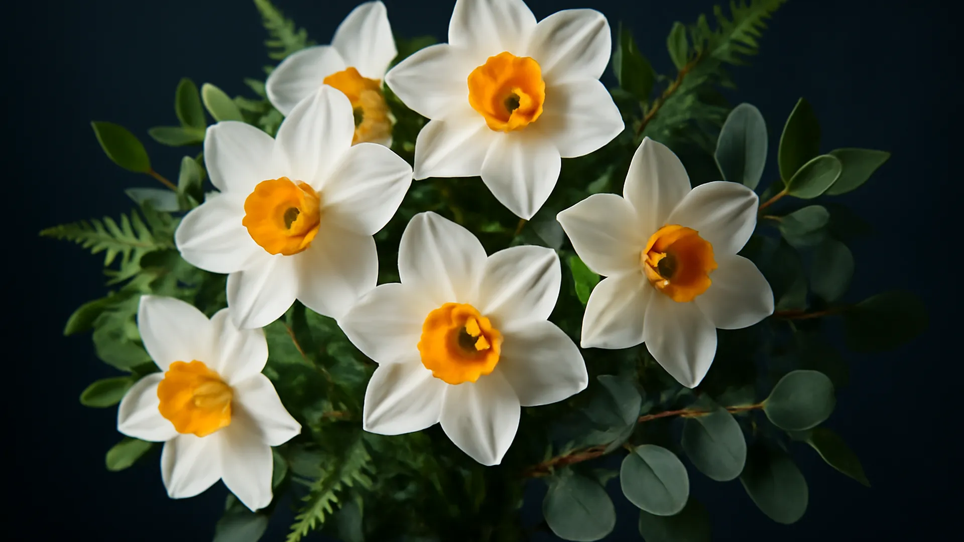 Narcis - de eerste lentebloem