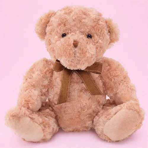 Teddy bear