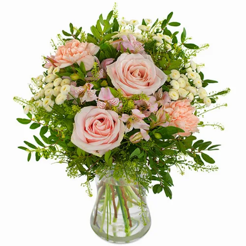 Blos van Liefde