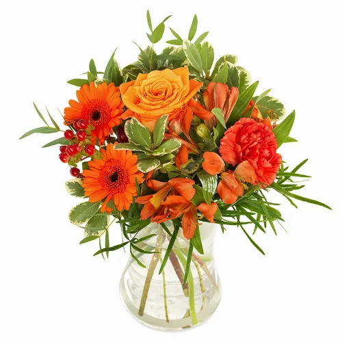 Oranje pracht